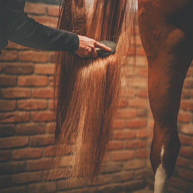 Cura Naturale - Démêlant et lustrant pour chevaux au monoï