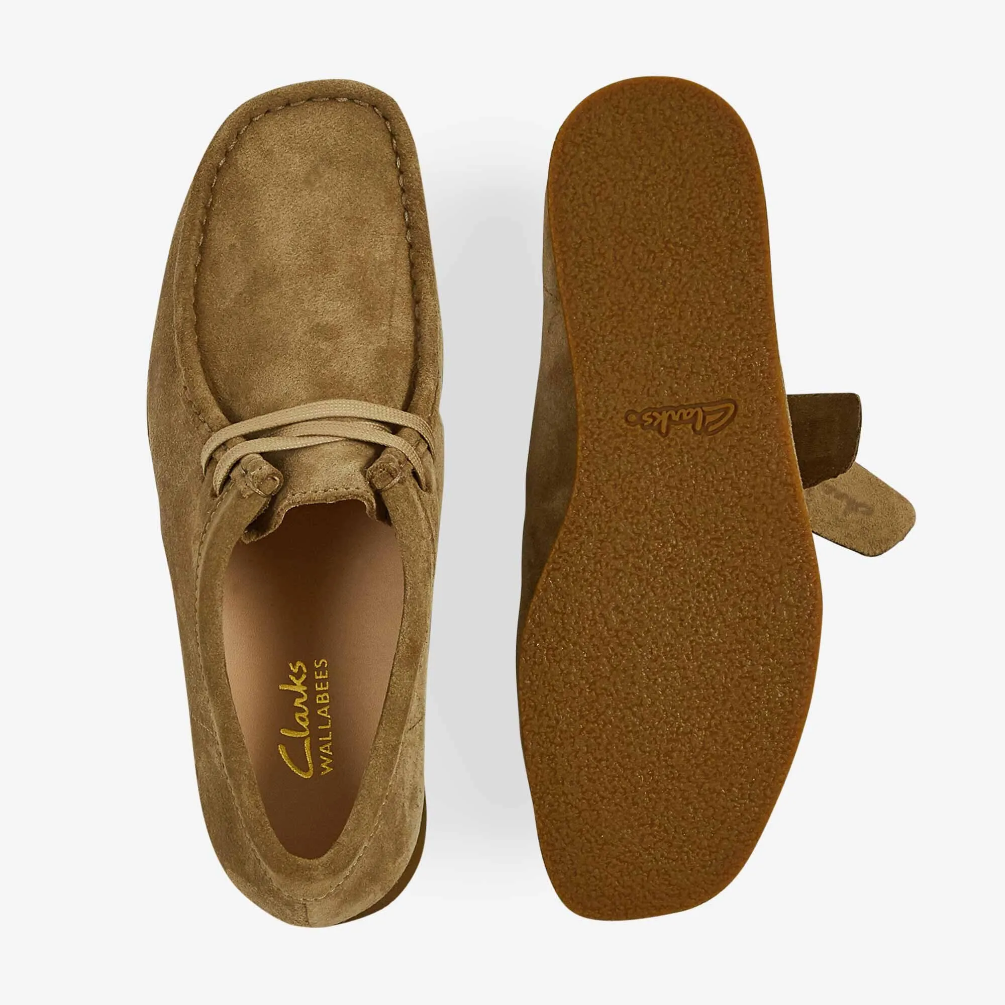 WALLABEE EVO