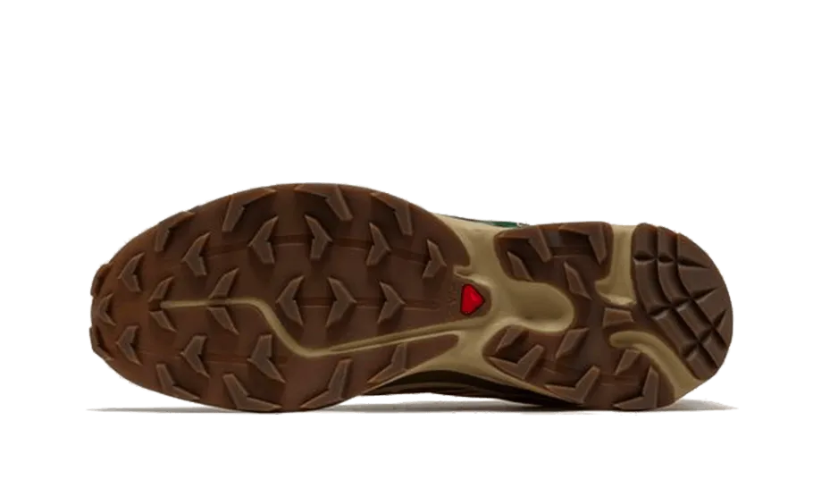 XT-6 Rubber Lizard